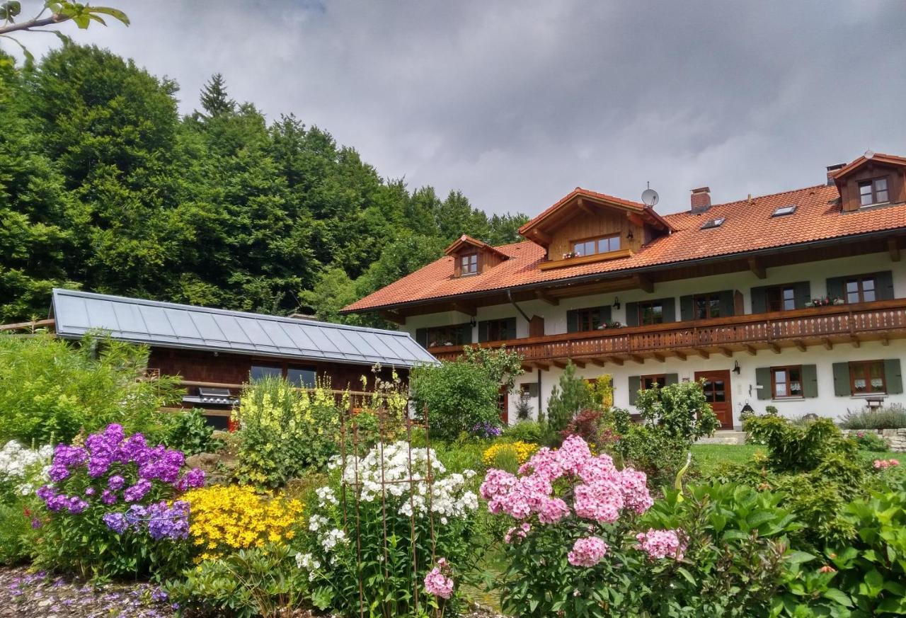 Haus Jaegerfleck, Ihre Ferienwohnungen Am Nationalpark Bayerischer Wald شبيغيلاو المظهر الخارجي الصورة